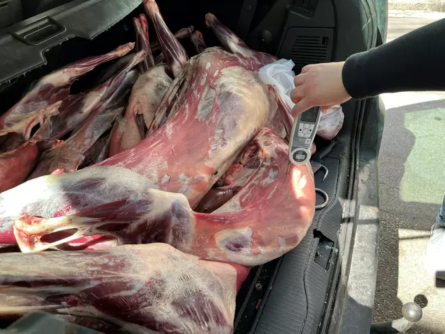 Eine grausige Entdeckung machten die Behörden in Wien. | Foto: Gruppe Sofortmaßnahmen