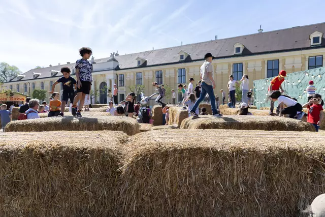 Das Strohlabyrinth gibt es heuer zum ersten Mal. | Foto: René Brunhölzl/MeinBezirk