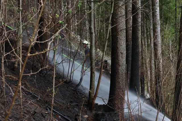 Foto: laumat.at/Matthias Lauber