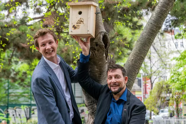 Das Haus des Meeres hat rund 600 Vogelhäuser im Bezirk geschaffen.  | Foto: Haus des Meeres