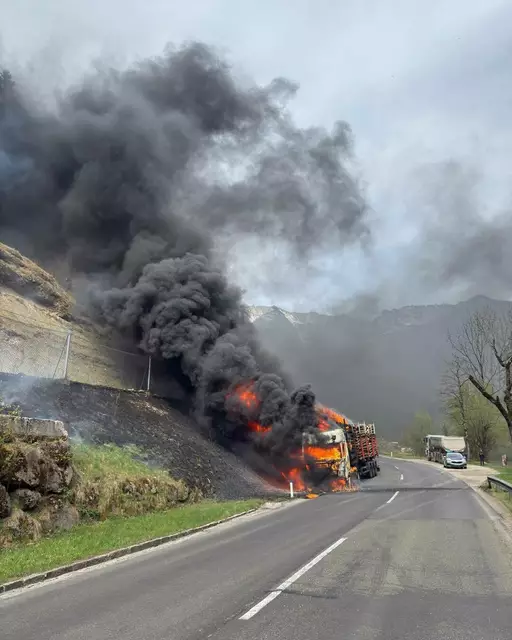 Das Feuer breitete sich vom Lkw auf die angrenzende Böschung aus. | Foto: FF Eisenerz