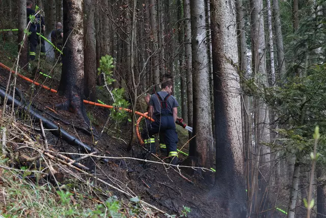 Foto: laumat.at/Matthias Lauber