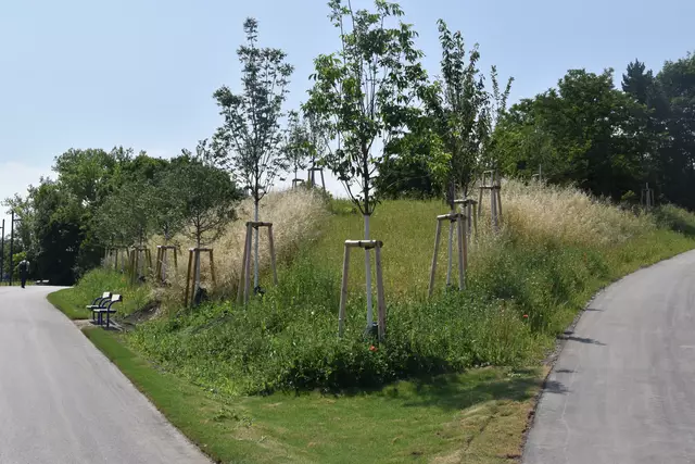 Foto: Karl Pufler/rmw