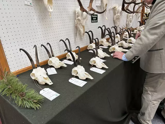 Die Trophäenschau des Bezirks fand kürzlich in der Sporthalle in Reutte statt. | Foto: Reichel