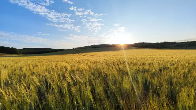 Am Samstag erwartet Niederösterreich viel Sonnenschein und bis zu 22 Grad. (Symbolfoto) | Foto: Jürgen S.J. Langhammer