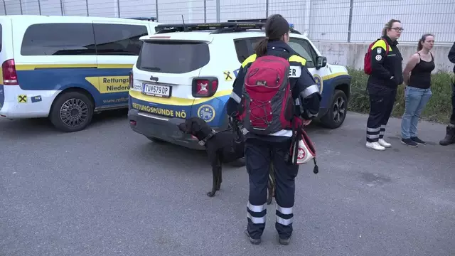 25 Hundeführerinnen und Hundeführer sind mit ihren Suchhunden im Einsatz, um eine vermisste Frau zu finden. | Foto: DOKU NÖ