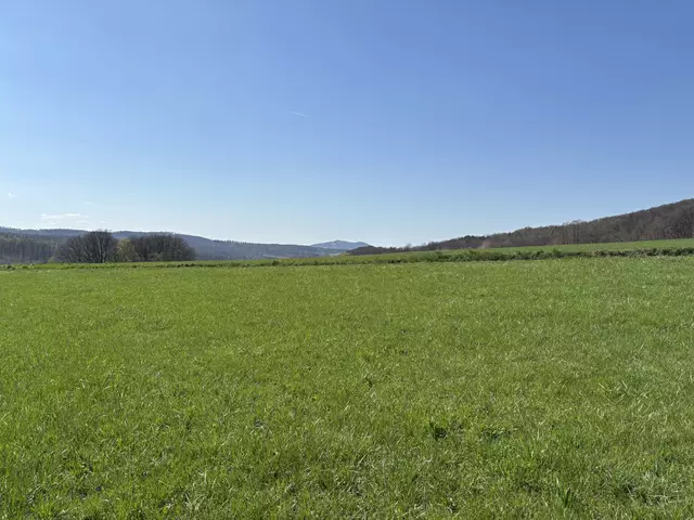 Foto: Victoria Edlinger