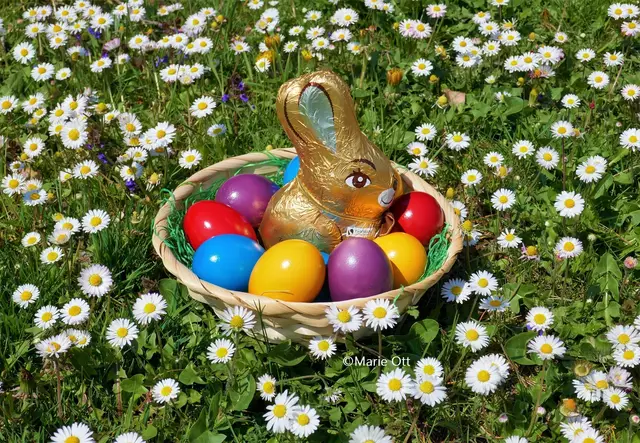 Abenteuer, Geschichte, Osterhase, Kinder