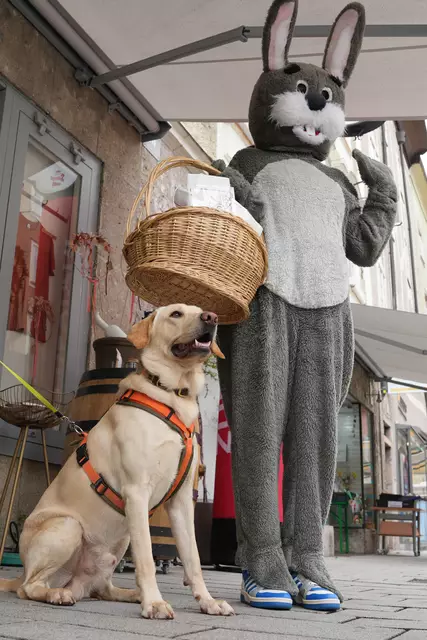 Foto: Stefan Schubert