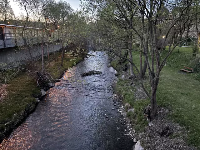 Foto: Bernhard Schabauer