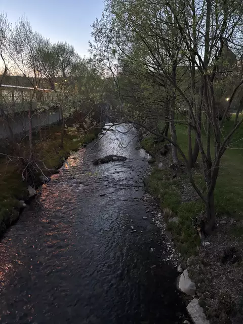 Foto: Bernhard Schabauer