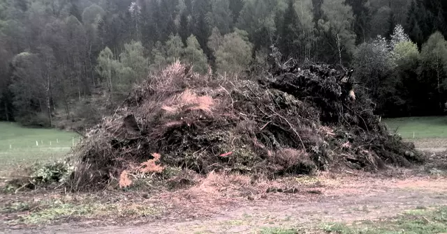 Der von der Radentheiner Bevölkerung zusammengetragene Feuerstapel