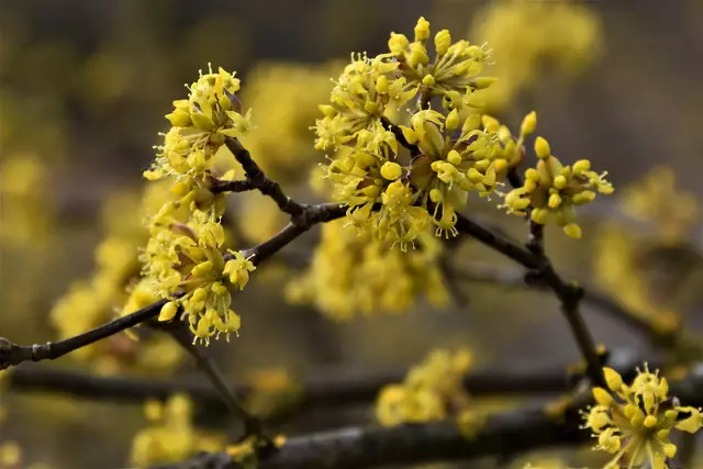 Mitte der Woche kommen ein paar Quellqolken hinzu. Die sind überwiegend harmlos. Erst am Donnerstag soll es wieder zu Regenschauern kommen. | Foto: Renata Hummer-Fotografie