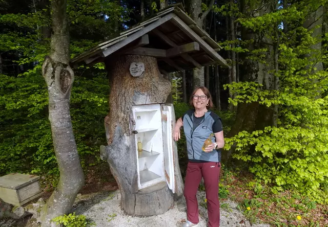 Der originelle Baum-Kühlschrank beim Rauchegger Kreuz