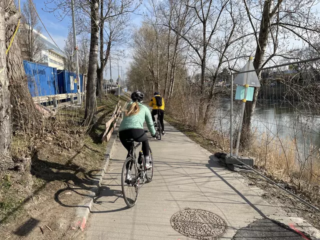 Eine Radfahrerin stürzte am Ostermontag in Döbling in den Donaukanal. (Archiv) | Foto: Johannes Reiterits