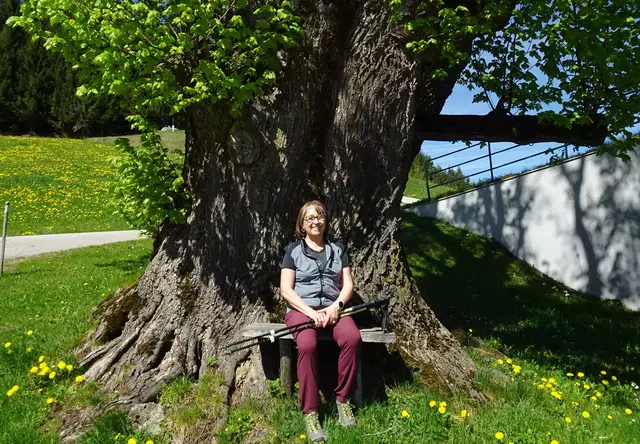 Die mächtige Lind beim Hause Hub