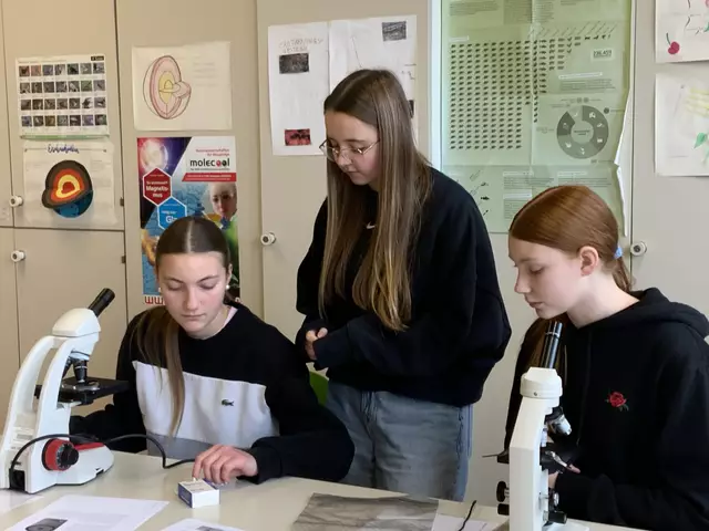 Foto: (c) Bundesgymnasium Babenbergerring