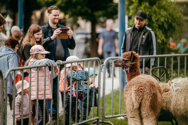 Foto: Sophia Hartsch - bunterpixel