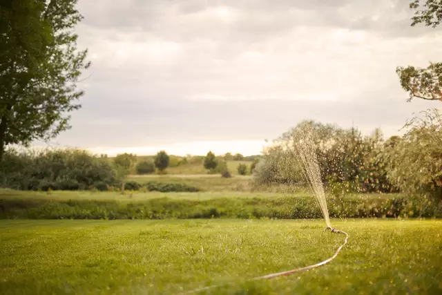 Eine gut geplante, automatisierte Gartenbewässerung berücksichtigt die unterschiedlichen Wasserbedürfnisse von Pflanzen und Böden. | Foto: Compo