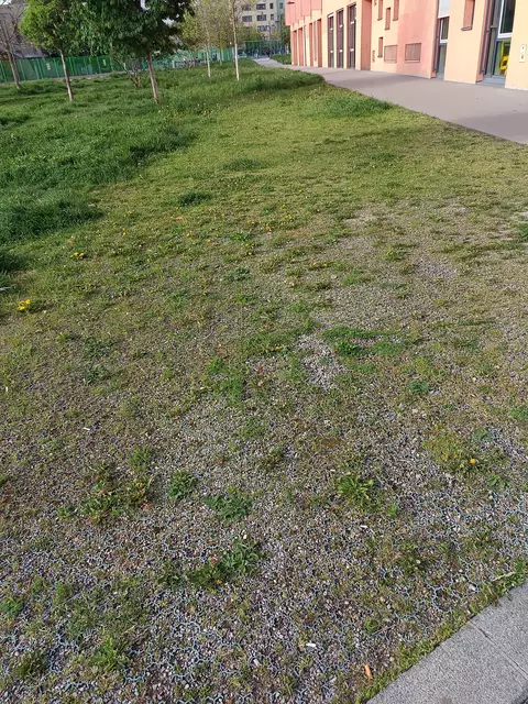 Gegenüber Antonie Altgasse 10 vor dem Kübel der MA48