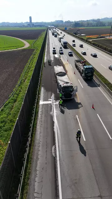 Foto: TEAM FOTOKERSCHI / WERNER KERSCHBAUMMAYR