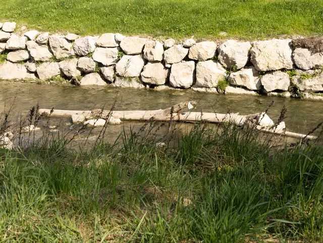 Der Liesingbach-Abschnitt im Draschepark wurde kürzlich fertig renatuiert. | Foto: Stadt Wien/Lukas Fuchs