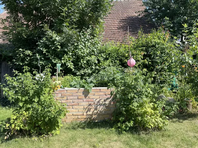 Obst und Gemüse aus dem eigenen Garten. | Foto: Alexandra Goll