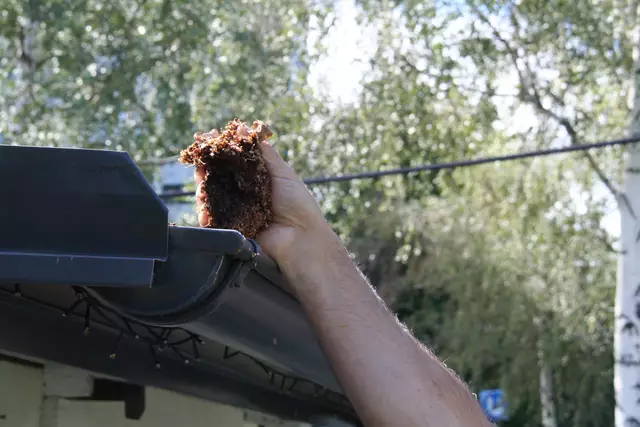 Die Reinigung der Dachrinne ist oft riskant, da instabile Leitern und Arbeiten in der Höhe ein hohes Unfallpotenzial bergen.  | Foto: Karl Pufler