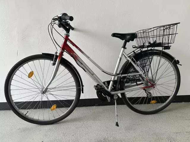 Wer sein Fahrrad liebt, sollte über eine Diebstahlversicherung nachdenken. | Foto: LPD Niederösterreich