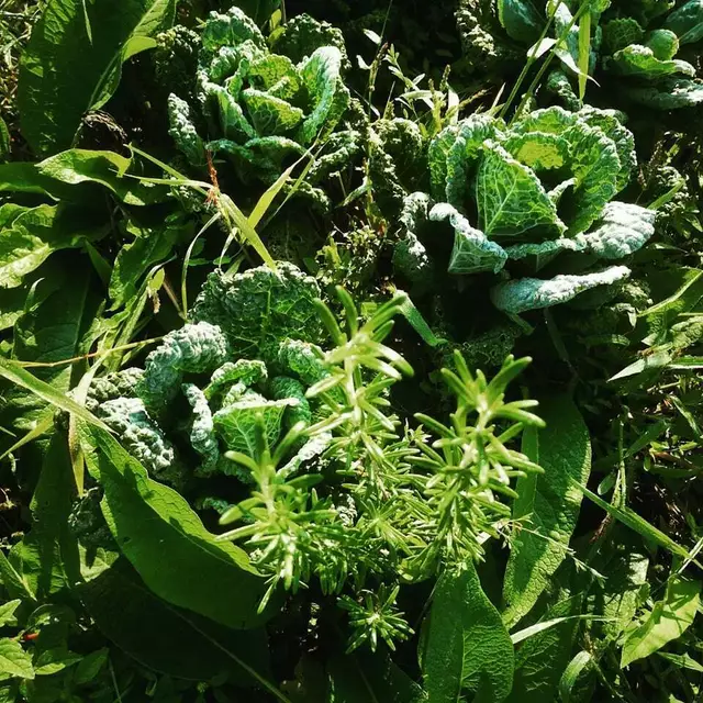 Mehr Bewusstsein beim Einkauf | Foto: Alexandra Goll