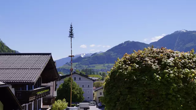 Der Maibaum repräsentiert den Ort. Je nach Gemeinde gibt es unterschiedliche Traditionen rund um den Maibaum. | Foto: Anita Empl