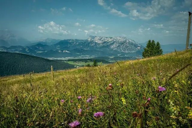 Eine Wanderung auf den Spielberg (1428 Meter) in der Osterhorngruppe ist eine Genusstour mit vielen wunderbaren Ausblicken.  | Foto: Neuhofer