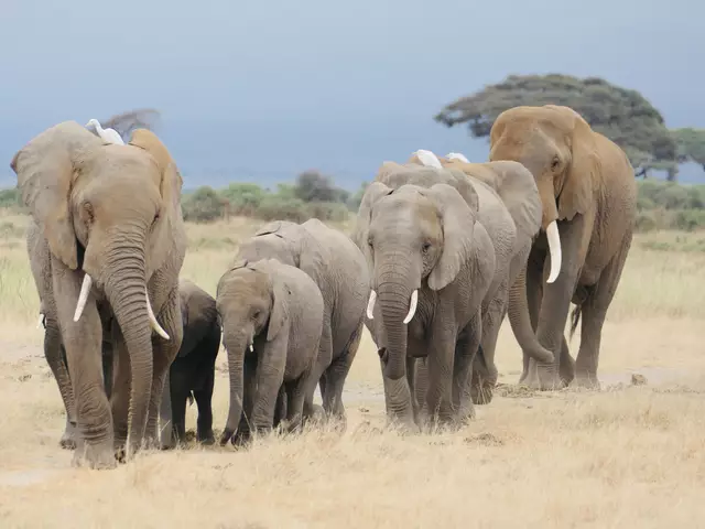 Foto: Thomas Widerin