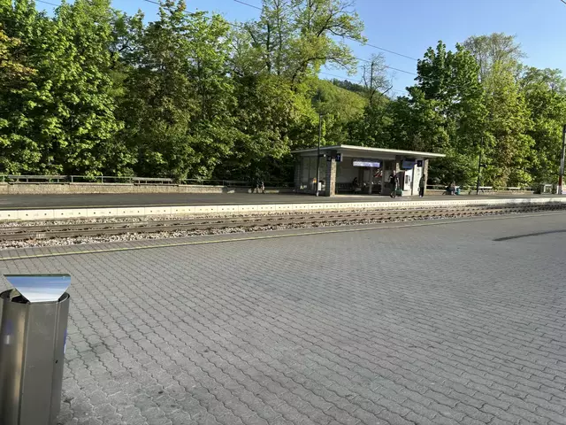 Die Sanierung des Bahnhofs Purkersdorf wird besprochen. | Foto: Marlene Trenker