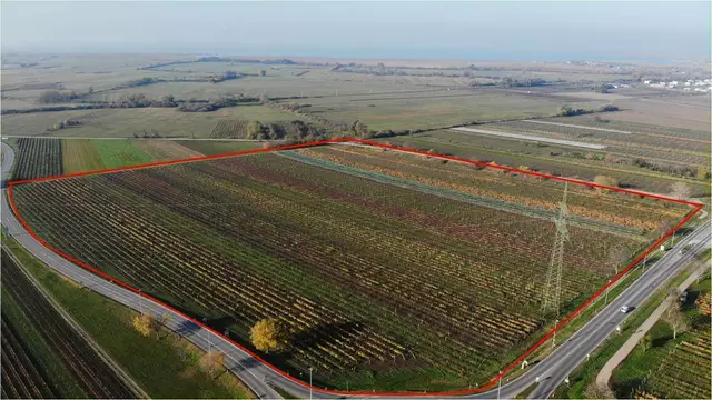 Die Burgenländische Landesregierung beruft ein Expertengremium für das Klinikprojekt in Gols ein.  | Foto: Nikolaus Gracher