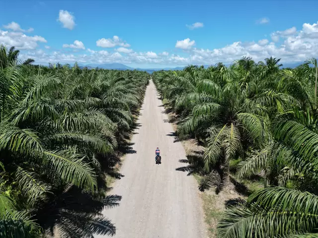 Foto: Thomas Widerin