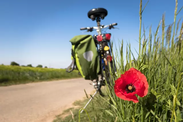 Das frühlingshafte Wetter lädt zu ausgedehnten Radtouren mit der ganzen Familie ein. (Symbolfoto) | Foto: Pixabay/Didgeman