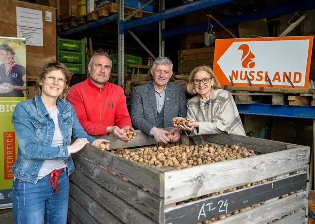 In der größten Nussknackerei Österreichs – dem Nussland: Die Inhaber Julia Taubinger und Marcus Schindelegger, Bürgermeister Walter Wieseneder und Landeshauptfrau Johanna Mikl-Leitner. | Foto: NLK Khittl
