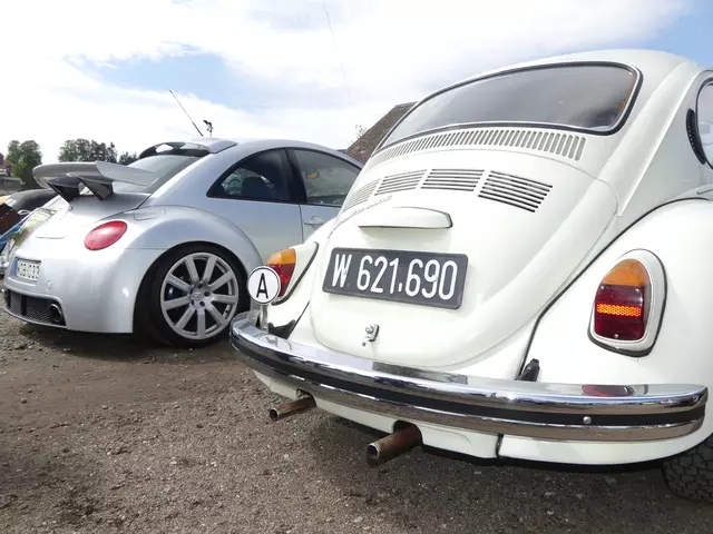 Generationsübergreifend: Ein VW 1302 aus 1971 neben einem New Beetle RSI aus 2003. | Foto: Hohenegger