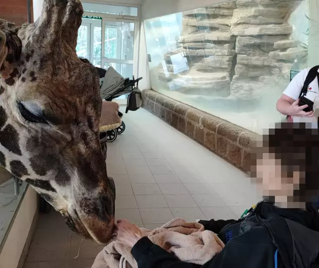 Ein berührender Moment: Die Giraffe spürte wohl genau was los war. | Foto: RK Ried