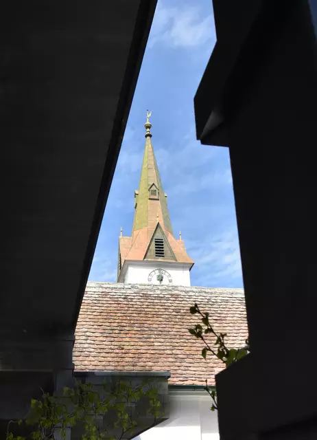 Foto: Herbert Schleich