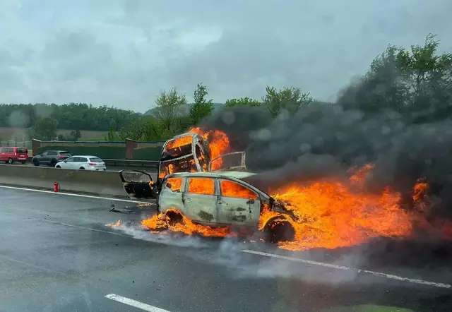 Ein Großaufgebot der Einsatzkräfte aller Art war am Freitag auf der A1 notwendig. | Foto: DOKU-NÖ
