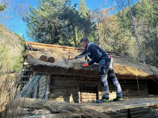 Drei Hütten im Ötzidorf bekamen zum Jubiläumsjahr neue Schilfdächer, wie sie auch in der Jungsteinzeit Verwendung fanden. | Foto: Ötzi-Dorf