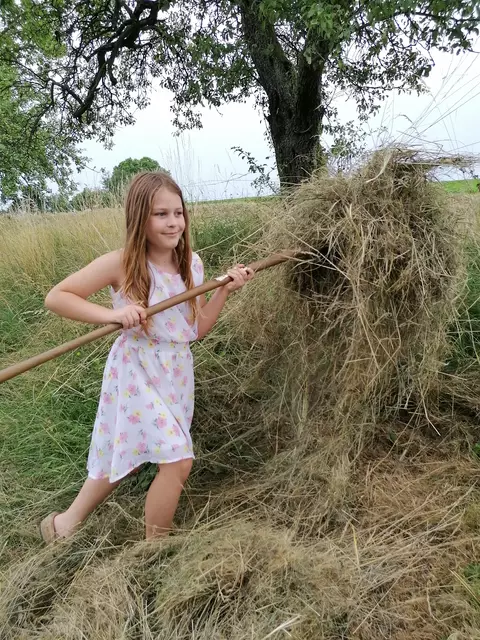 Amelie hilft ihren Eltern bei der Heuernte.
