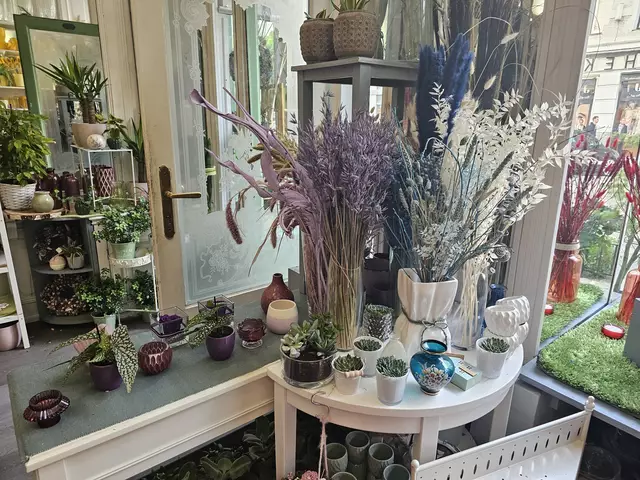 Foto: Tamara Winterthaler