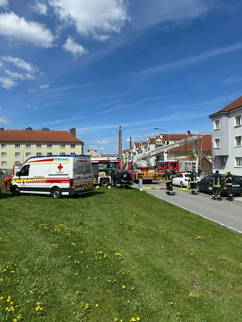 Foto: Doku-NÖ