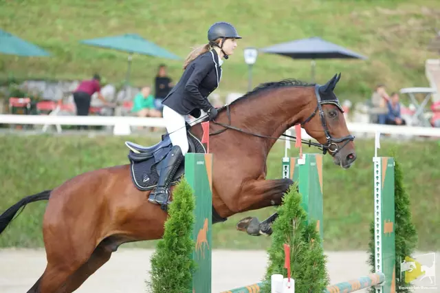 Machen eine gute Figur über dem Oxer: Misjam Semmernegg auf "Monte". | Foto: equestrian-live.com