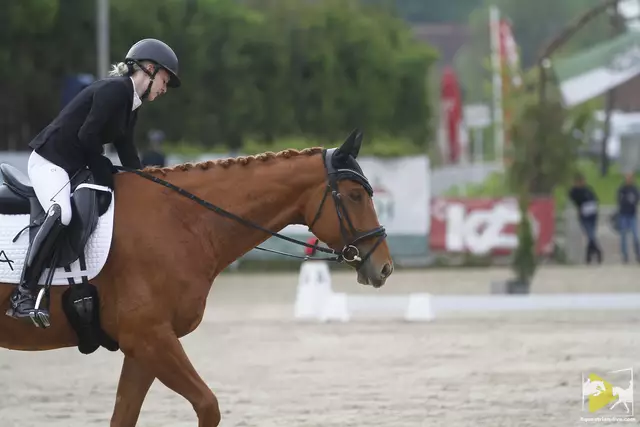 Traversale, Pirouette und fliegender Wechsel: Die Dressurreiterinnen und Dressurreiter starten am 17. und 18. Mai um Siege und Platzierungen. | Foto: equestrian-live.com