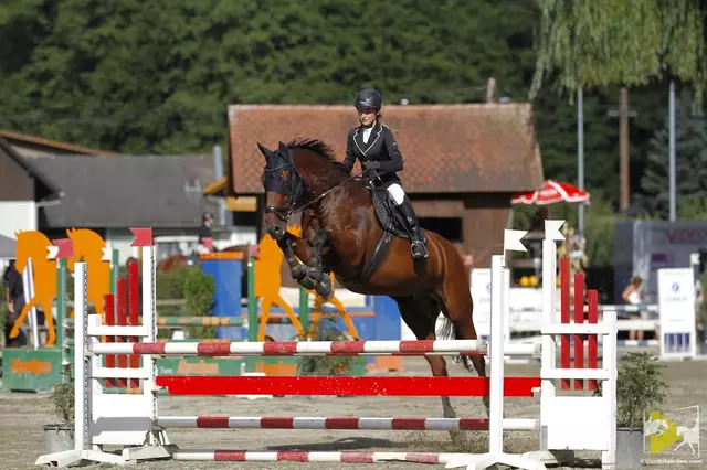 Sport trotz Diabetes: Mirjam Semmernegg ist mit ihrem "Monte" bei Turnieren gut am Sprung. | Foto: equestrian-live.com