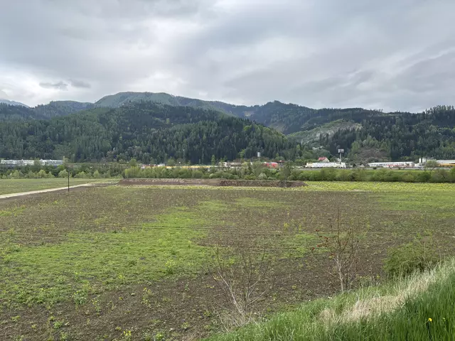 Auf der nördlichen Fläche bis zum Lärmschutzwall soll eine Doppel-Reihenhaussiedlung entstehen. | Foto: MeinBezirk